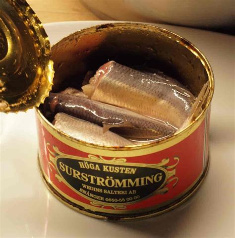 What is Surströmming and how to eat this smelly fish